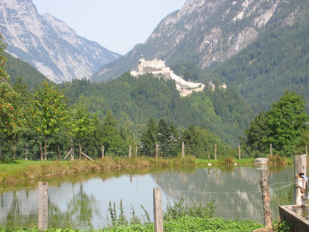 Bio-Bauernhof Rettenbachgut Werfen Dış mekan fotoğraf